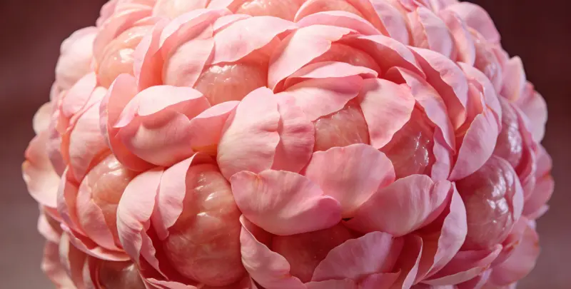 安庆BRCA1/2乳腺癌卵巢癌基因检测图片1